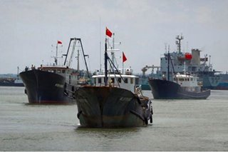 ‘Raping the Galapagos’: Chinese fishing boats, COVID threaten Ecuador’s Unesco site