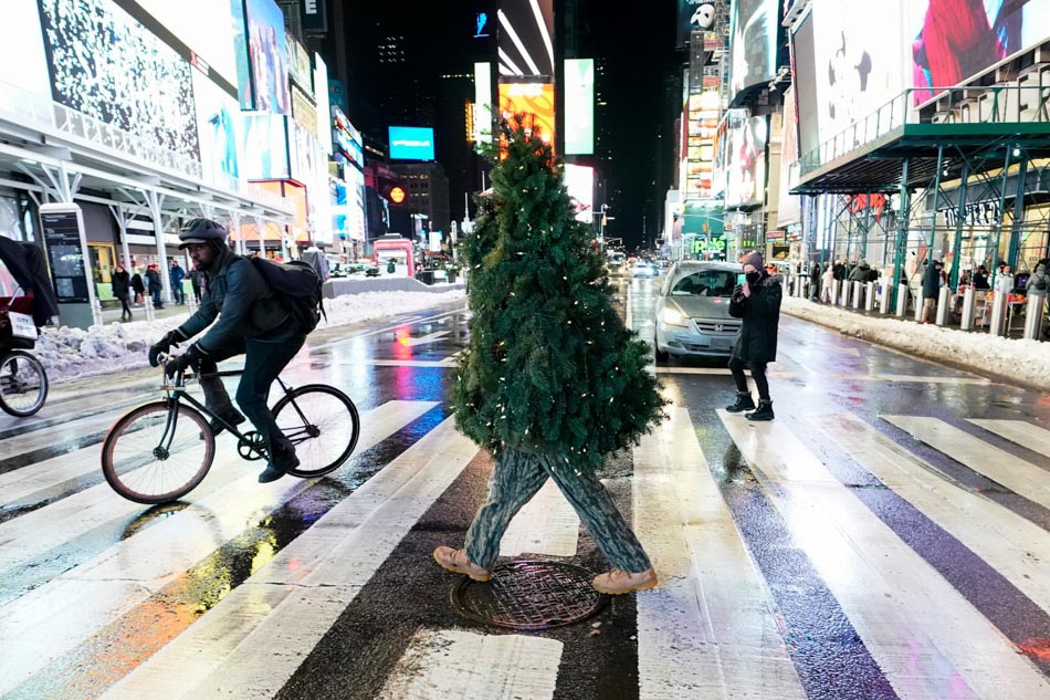 Christmas tree crossing