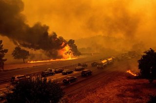 Wildfires rip through California wine country, thousands flee homes
