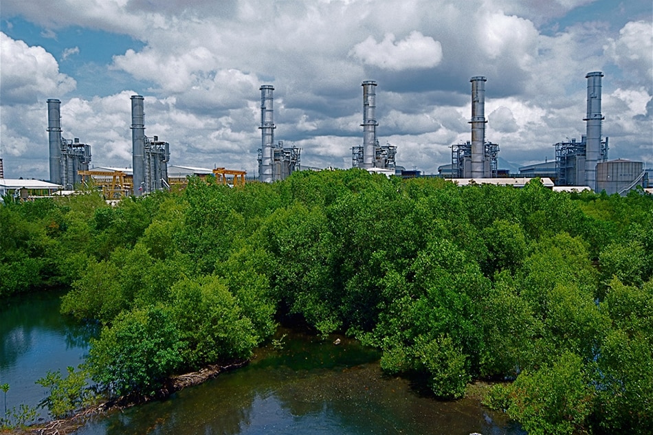 A First Gen Corp natural gas plant behind mangroves is shown in this photo from the company's website. Handout photo 
