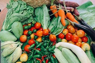 Fruits, vegetables linked to better mental health in kids
