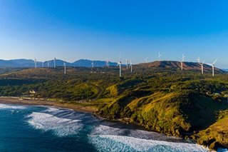 Ayala unit says building Vietnam's biggest wind farm