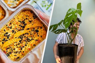 Plants and sushi bake: Filipinos bet on low-budget 'rakets' to survive pandemic