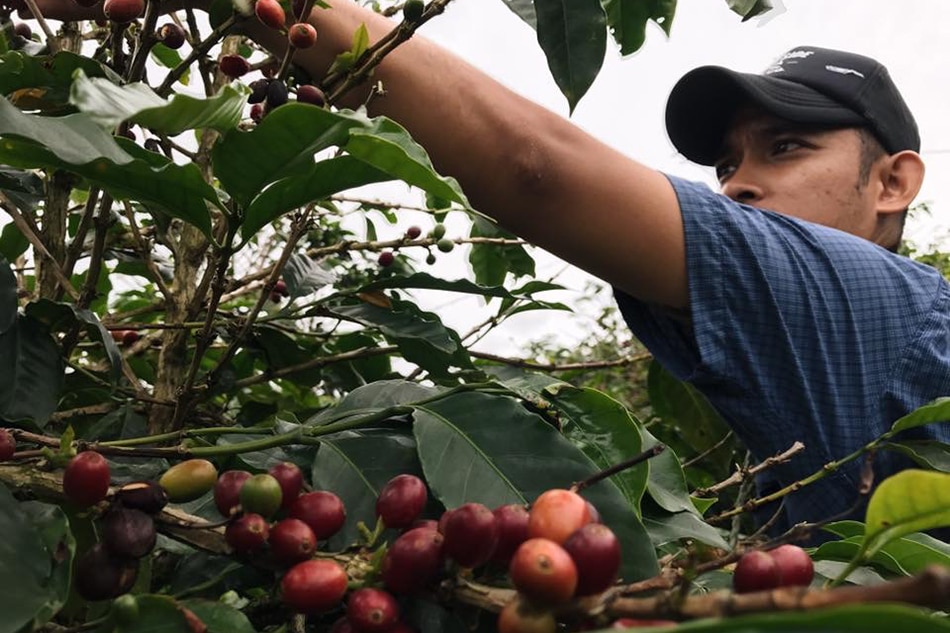 Brewing peace: How a coffee enterprise in Mindanao won the ‘Nobel Prize of Business’ 1