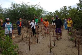 First Gen employees hold 'hi-tech' tree-planting activity, raises funds for indigents in Batangas town