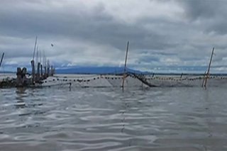 Fish pen owners sa Laguna de Bay, lugi umano ng higit P800M dahil kay Rolly