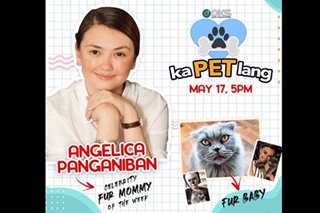 Heads up, pet lovers: Celebs' fur babies take spotlight in 'KaPet Lang' digital show