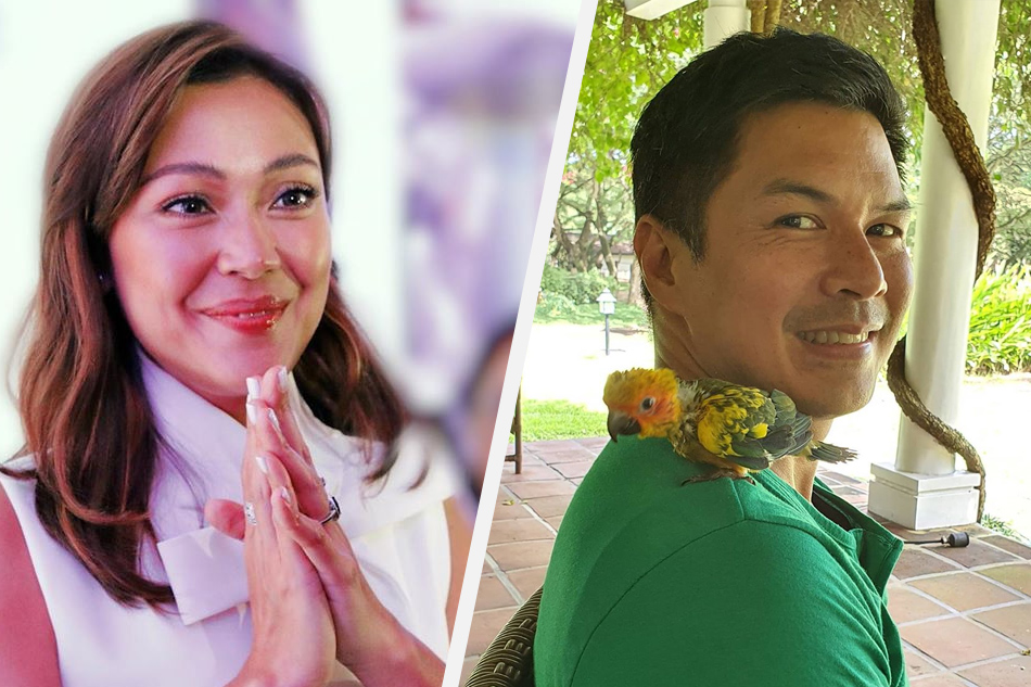 Jodi Sta. Maria, Raymart Santiago are dating ABSCBN News