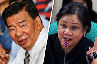 Drilon, Villar argue over budget for proposed bamboo law