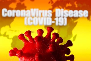 Coronavirus could become seasonal: top US scientist