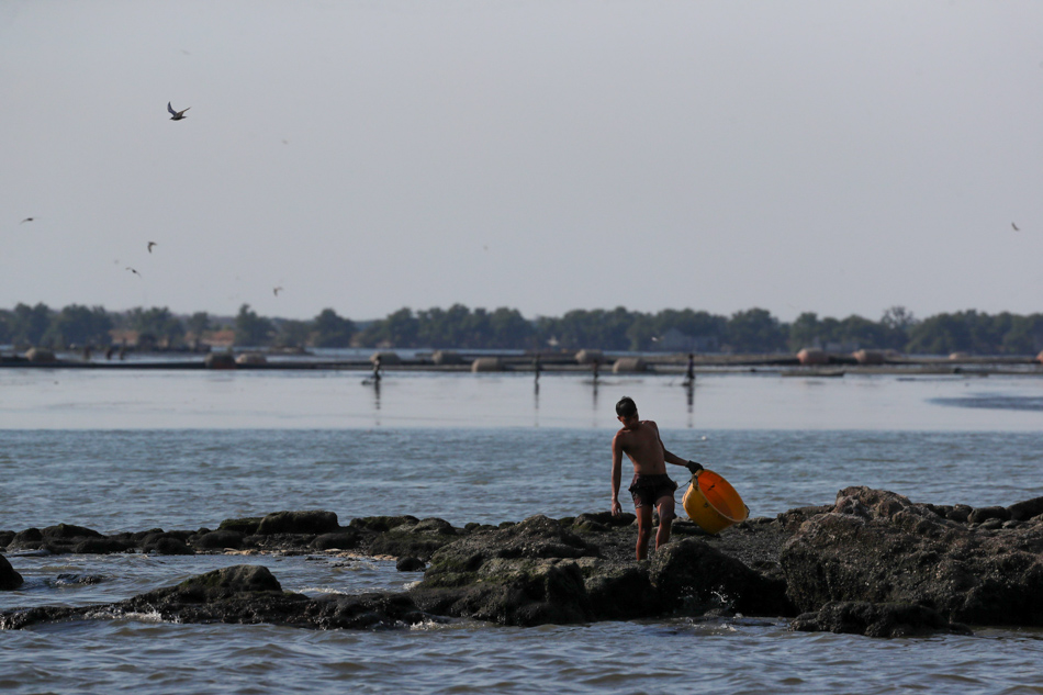 SLIDESHOW: A community in Philippines' fishing capital Navotas adjusts ...