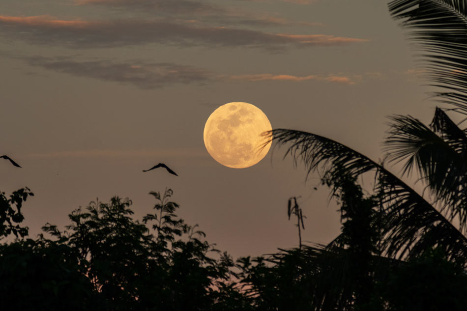 LOOK 'Strawberry moon' seen from Rizal ABSCBN News