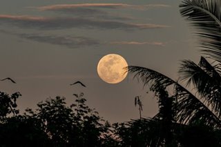 'Strawberry moon' rises over Rizal