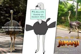 ‘Aaay, ostrich!’ Hilarious (and political) reactions to ‘Jumanji’ scene in QC, compiled