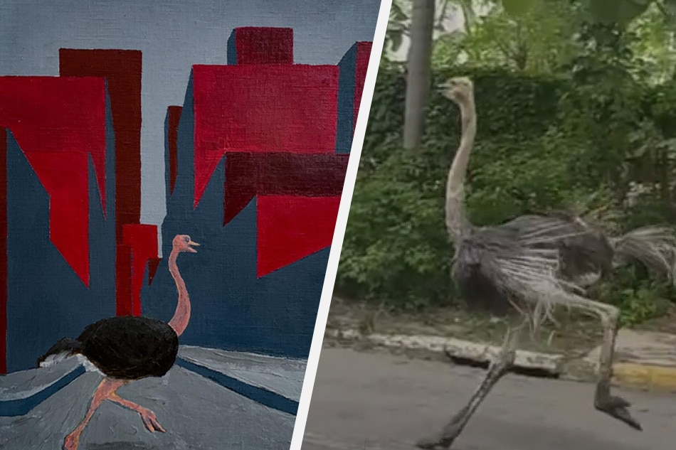 In 2005, Rico Blanco painted this scene of an ostrich in the city. Now, he’s getting requests for his next subject. 1