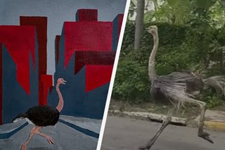 In 2005, Rico Blanco painted this scene of an ostrich in the city. Now, he’s getting requests for his next subject.