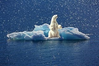 Arctic summer sea ice second lowest on record: US researchers