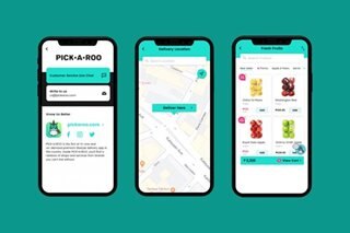 This delivery app offers curated options for groceries and more