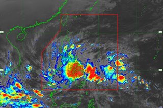 PAGASA: Picking up pace, Vicky barrels over Agusan Del Sur