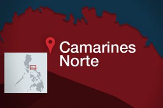 M-4.8 quake leaves cracks in Camarines Norte school: mayor