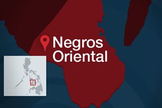 Alleged NPA rebel slain in Negros Oriental