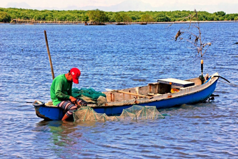 Why the proposed new airport in Bulacan might hurt the country&#39;s seafood supply 1