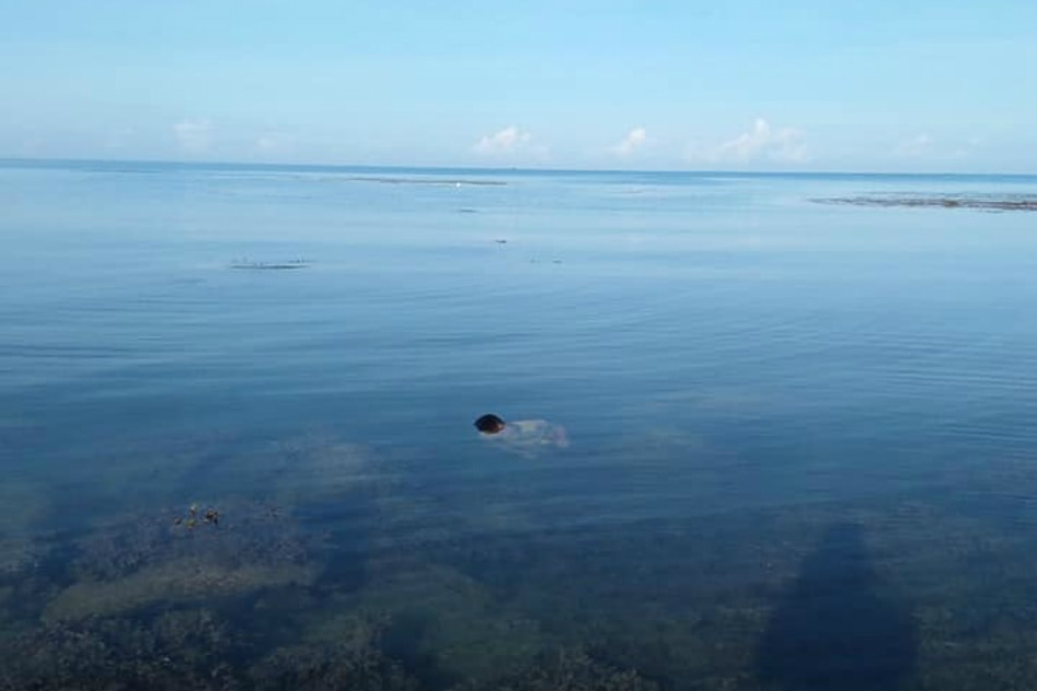 Bangkay ng lalaki natagpuan sa dagat sa Palawan | ABS-CBN News