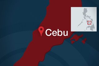 2 vessels involved in Cebu collision suspended