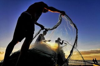 Mga mangingisdang Pinoy 'di dapat matakot lumaot sa West PH Sea: DA