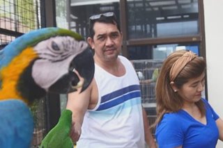 Pamilya sa Pasig nag-aalaga ng higit 30 parrot