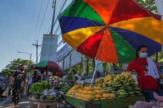 Door-to-door delivery of vegetables, fruits as agri dept taps e-commerce