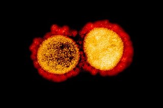 Global coronavirus death toll tops 700,000: AFP tally