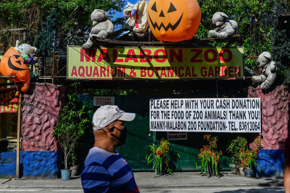 malabon zoo donation, <b> Malabon Zoo calls for donations in feeding its hungry tenants</b>