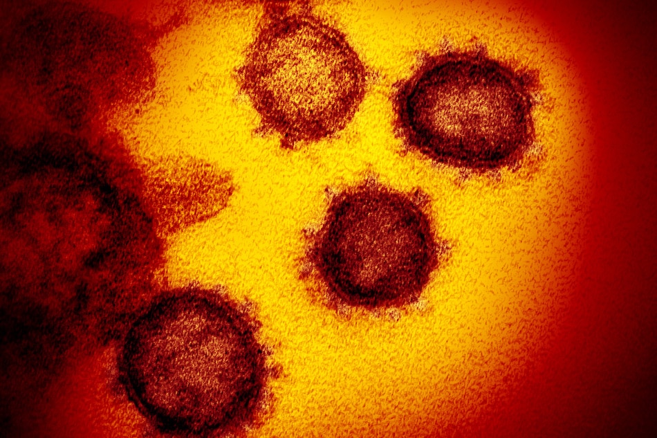 Peru surpasses 200,000 coronavirus infections: health ministry 1
