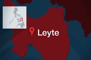 3 patay sa Leyte matapos malason umano sa kinaing pufferfish