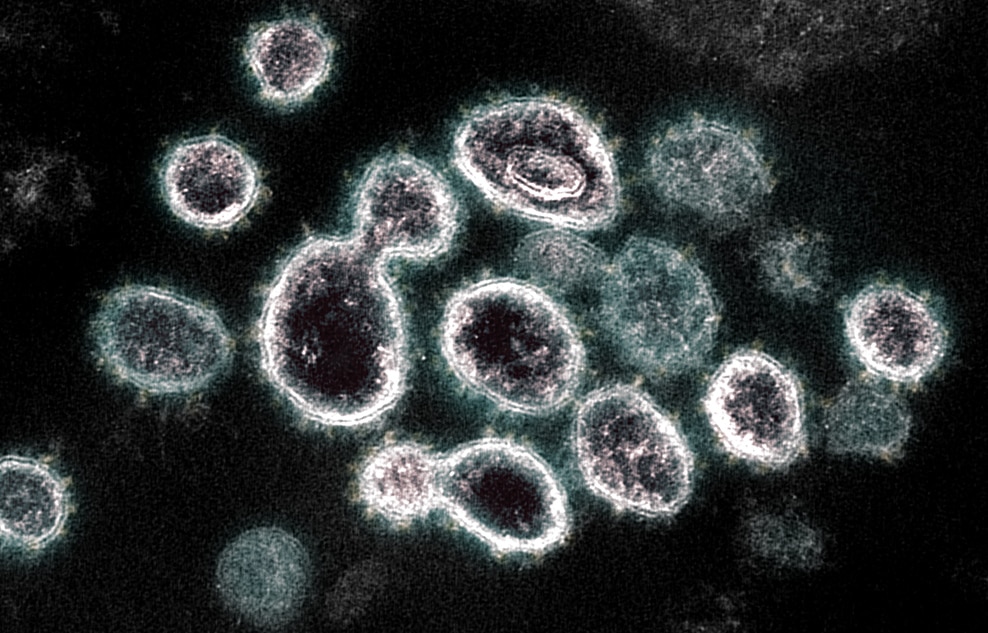 Tokyo reports record 224 daily coronavirus infections 1