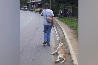 Konsehal na 'nanghila' sa nakahigang aso sa Batangas, binatikos