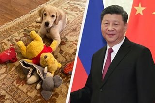 Patama kay Xi Jinping? US top diplomat tumangging may malisya sa retrato ng aso