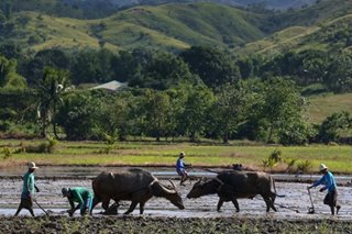 Philippines gets $370 million World Bank loan for land reform program