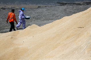 'Many laws' violated in dumping of fake sand in Manila Bay: group