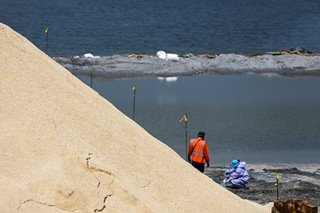 Manila Bay sands project violates National Cultural Heritage Act, other laws - environmental groups