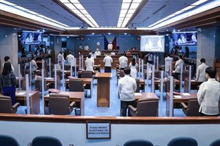 Senators lament wrongful or non-implementation of laws over IRR issues with executive agencies