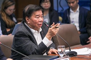 Drilon flags lump sum public funds that may be ‘open to corruption'