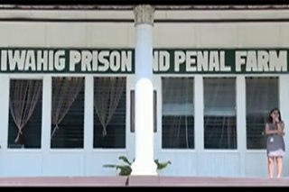 Empleyado sa Iwahig Prison and Penal Farm, nagpositibo sa COVID-19