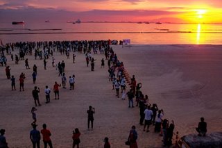 Mangroves not dolomite: UP biologists offer services to rehabilitate Manila Bay