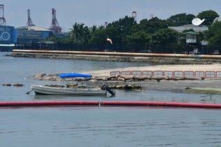 UP marine scientists to DENR: Experts' services are free but pay for research expenses