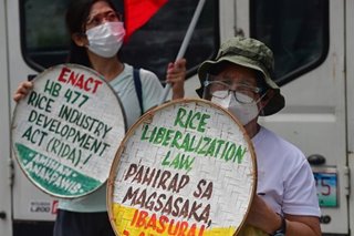 'Aanhin pa ang damo?': Rice farmers call for scrapping of Rice Tariffication Law