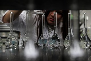DOST expands study on virgin coco oil vs coronavirus