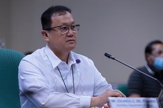 Housing chief says he 'has done his job' to secure 2021 funding as Drilon scores 'meager' budget