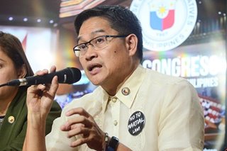 We're in Congress, we do not advocate for armed struggle: Bayan Muna lawmaker